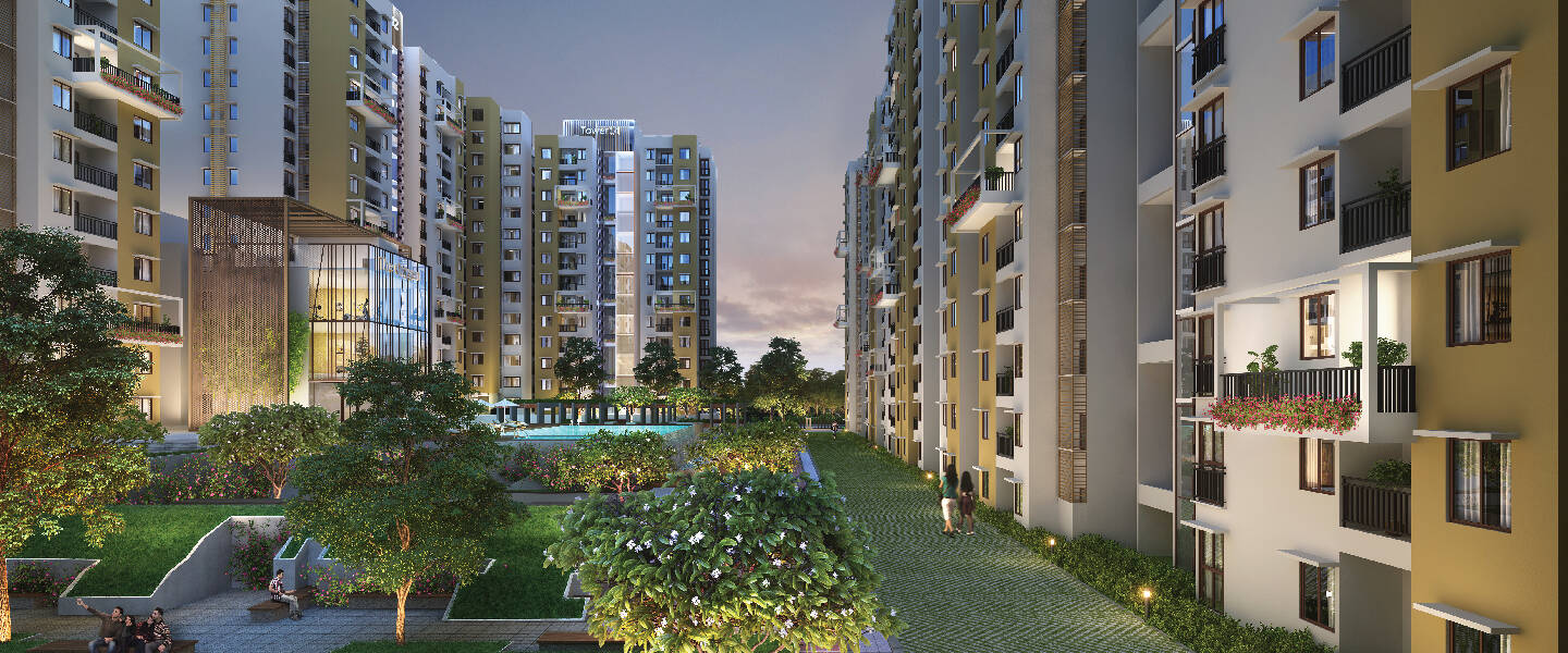 Purva Alcorium Gallery